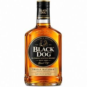Black Dog